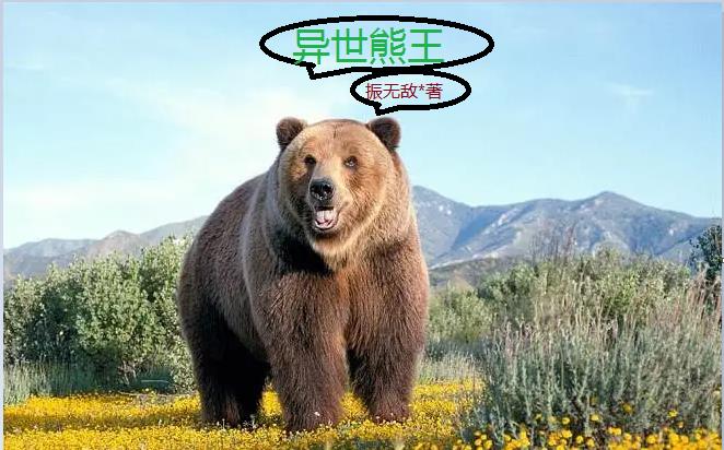 熊熊勇闯异世界小说esj
